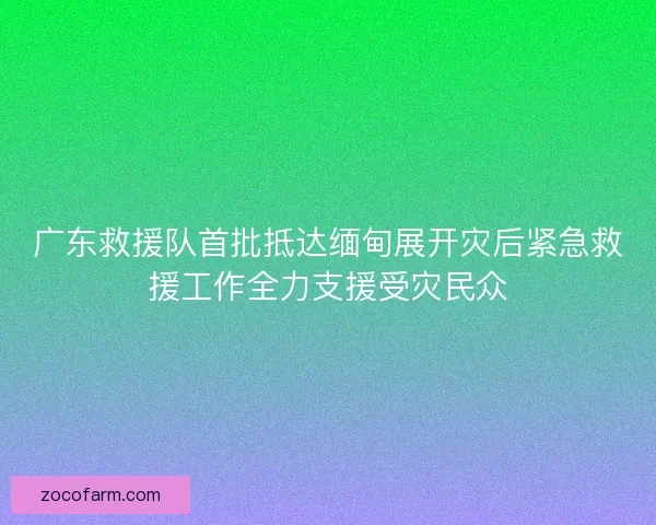 广东救援队首批抵达缅甸展开灾后紧急救援工作全力支援受灾民众 广东救援队首批抵达缅甸展开灾后紧急救援工作全力支援受灾民众
