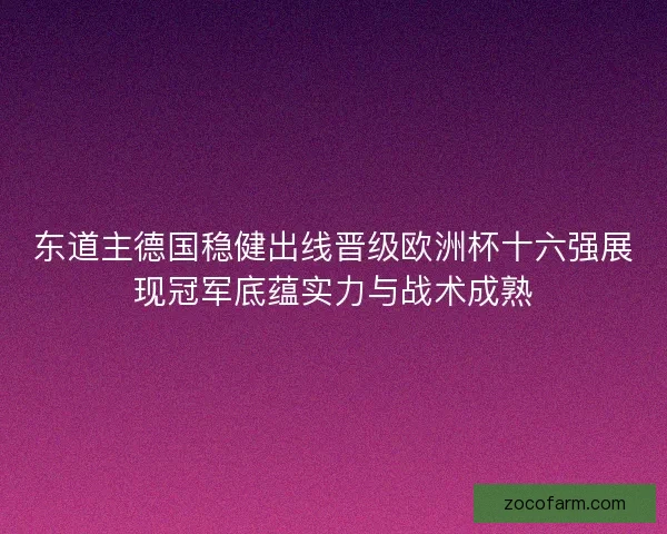 东道主德国稳健出线晋级欧洲杯十六强展现冠军底蕴实力与战术成熟 东道主德国稳健出线晋级欧洲杯十六强展现冠军底蕴实力与战术成熟