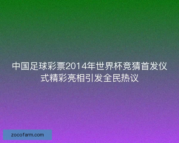 中国足球彩票2014年世界杯竞猜首发仪式精彩亮相引发全民热议