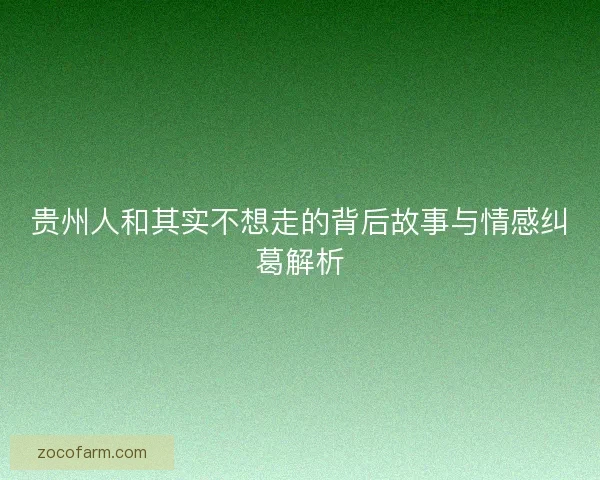 贵州人和其实不想走的背后故事与情感纠葛解析