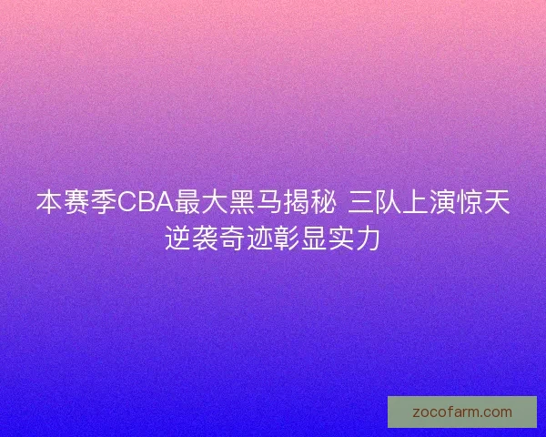 本赛季CBA最大黑马揭秘 三队上演惊天逆袭奇迹彰显实力