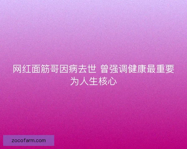 网红面筋哥因病去世 曾强调健康最重要为人生核心 网红面筋哥因病去世 曾强调健康最重要为人生核心