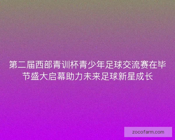第二届西部青训杯青少年足球交流赛在毕节盛大启幕助力未来足球新星成长