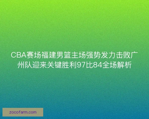 CBA赛场福建男篮主场强势发力击败广州队迎来关键胜利97比84全场解析