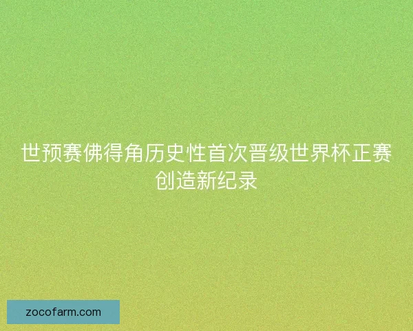 世预赛佛得角历史性首次晋级世界杯正赛创造新纪录