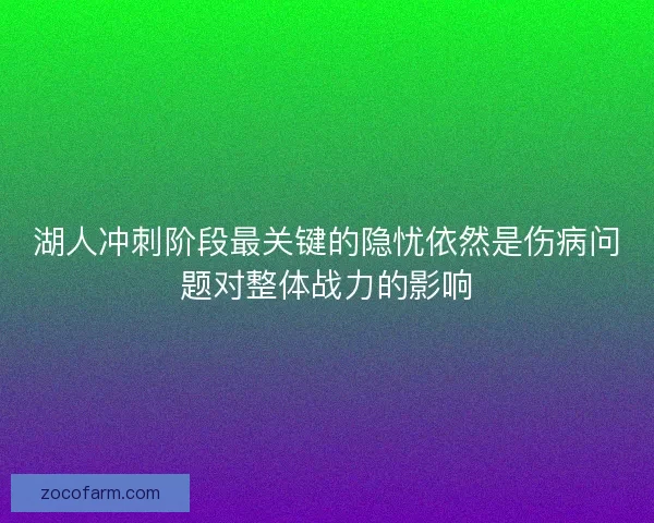 湖人冲刺阶段最关键的隐忧依然是伤病问题对整体战力的影响 湖人冲刺阶段最关键的隐忧依然是伤病问题对整体战力的影响