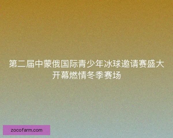 第二届中蒙俄国际青少年冰球邀请赛盛大开幕燃情冬季赛场
