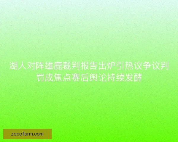 湖人对阵雄鹿裁判报告出炉引热议争议判罚成焦点赛后舆论持续发酵