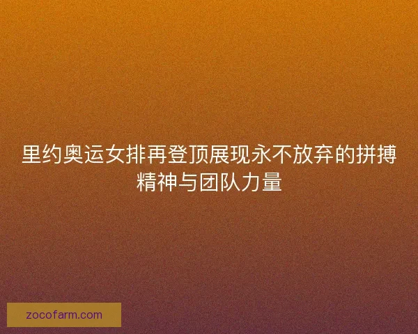 里约奥运女排再登顶展现永不放弃的拼搏精神与团队力量 里约奥运女排再登顶展现永不放弃的拼搏精神与团队力量
