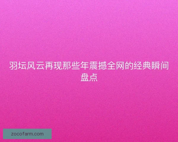 羽坛风云再现那些年震撼全网的经典瞬间盘点
